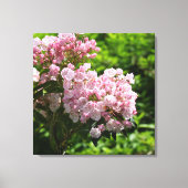  Mountain Laurel Pink Flowers Canvas (Voorkant)