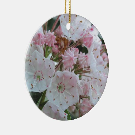 Mountain Laurel Products Keramisch Ornament (Rechts)