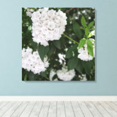  Mountain Laurel White Flowers Canvas Afdruk (Insitu (Houten vloer))