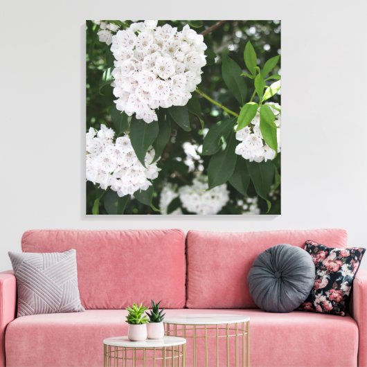  Mountain Laurel White Flowers Canvas Afdruk (Insitu (Woonkamer))