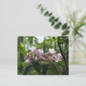 Mountain Laurel Wildflower Briefkaart (Staand voorkant)