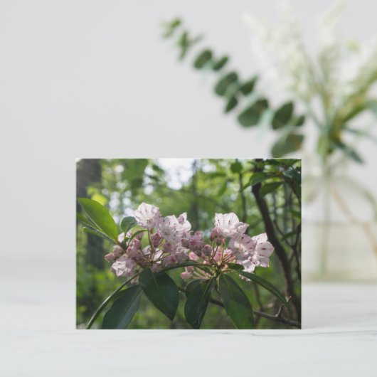 Mountain Laurel Wildflower Briefkaart (Staand voorkant)