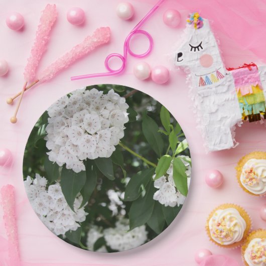 Mountain Laurel Witte Bloemen Papieren Bordje (Feest)