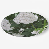 Mountain Laurel Witte Bloemen Papieren Bordje (Gekanteld)