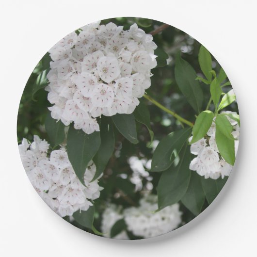 Mountain Laurel Witte Bloemen Papieren Bordje (Voorkant)