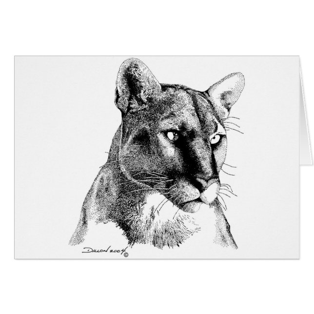 Mountain Lion (Voorkant Horizontaal)