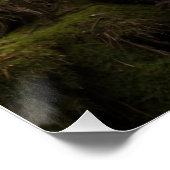 Mountain Lion bij een Rock Pool Perfect Poster (Hoek)