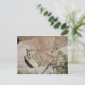Mountain Lion Briefkaart (Staand voorkant)