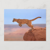 Mountain Lion Briefkaart (Voorkant)