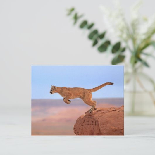 Mountain Lion Briefkaart (Staand voorkant)