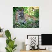 Mountain Lion Complaining Poster (Thuiskantoor)