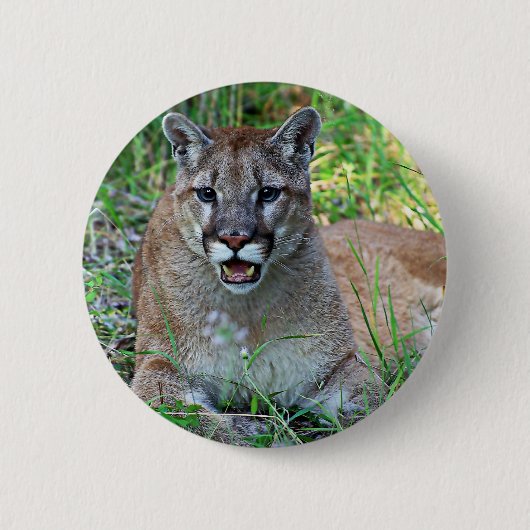 Mountain Lion Complaining Ronde Button 5,7 Cm (Voorkant)