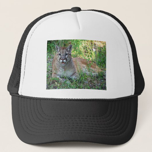 Mountain Lion Complaining Trucker Pet (Voorkant)