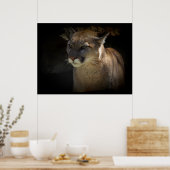 MOUNTAIN LION Cougar Big Cat Wildlife Poster (Keuken)