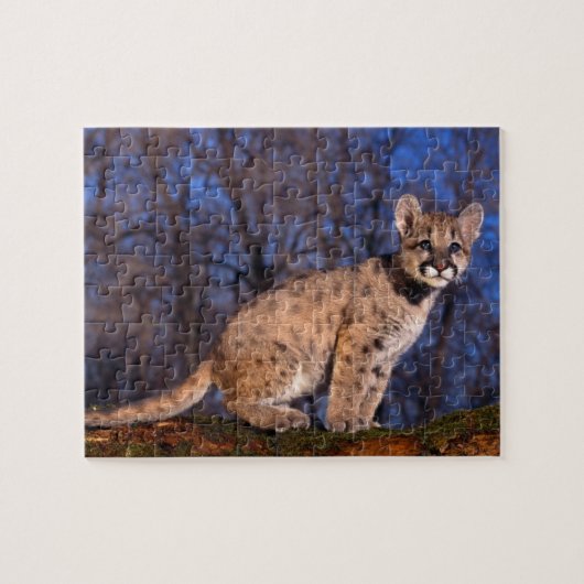 Mountain Lion Cub Puzzel (Horizontaal)