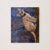 Mountain Lion Cub Puzzel (Verticaal)