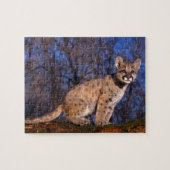 Mountain Lion Cub Puzzel Legpuzzel (Horizontaal)