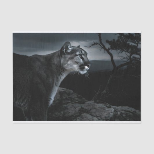 Mountain Lion Decoupage Tissuepapier (Voorkant)