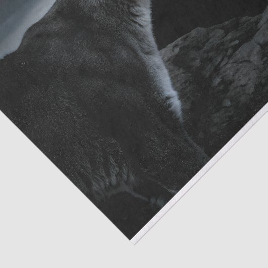 Mountain Lion Decoupage Tissuepapier (Detail)