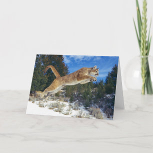Mountain Lion Greeting Card Kaart