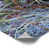 Mountain Lion - Hmmm Poster (Hoek)