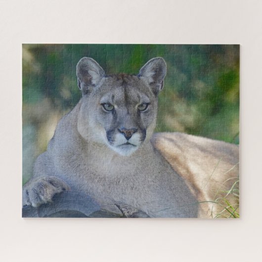 Mountain Lion Jigzaag Puzzle Legpuzzel (Horizontaal)