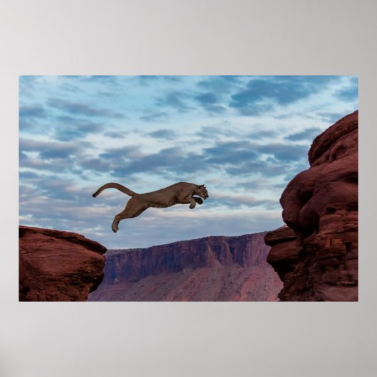 Mountain Lion Jumping Morning Skyspring,lion,anima Poster (Voorkant)