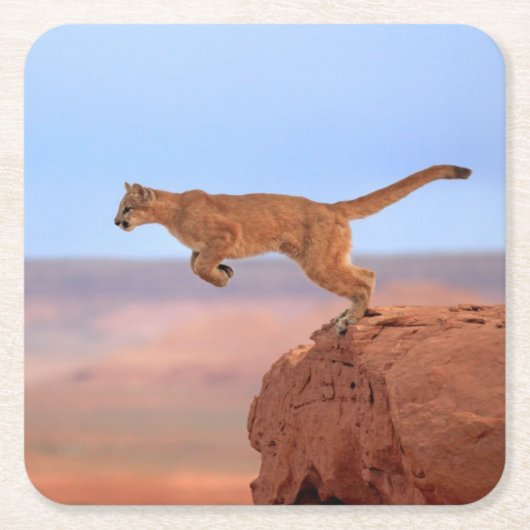 Mountain Lion Kartonnen Onderzetters (Voorkant)