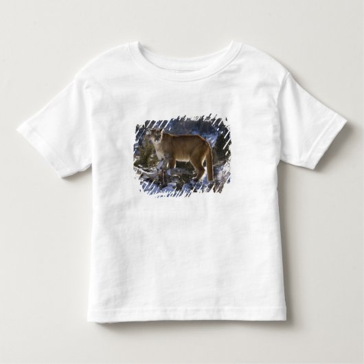 Mountain Lion Kinder Shirts (Voorkant)