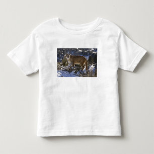 Mountain Lion Kinder Shirts