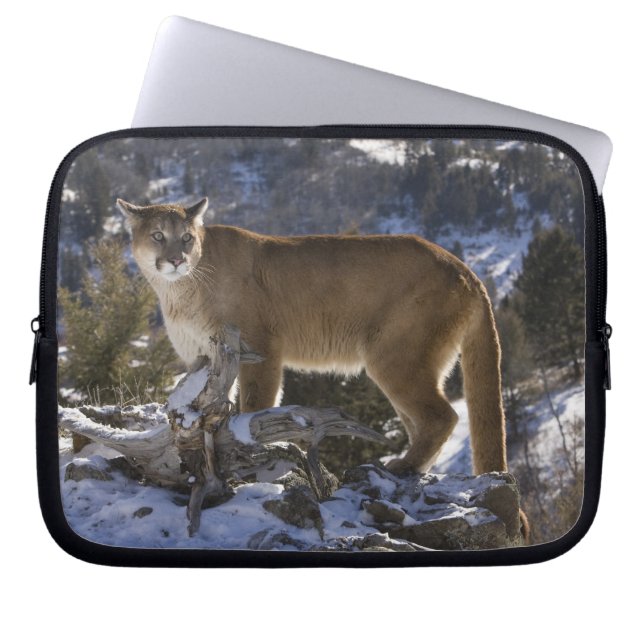 Mountain Lion Laptop Sleeve (Voorkant)