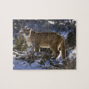 Mountain Lion Legpuzzel