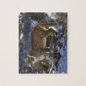Mountain Lion Legpuzzel (Verticaal)
