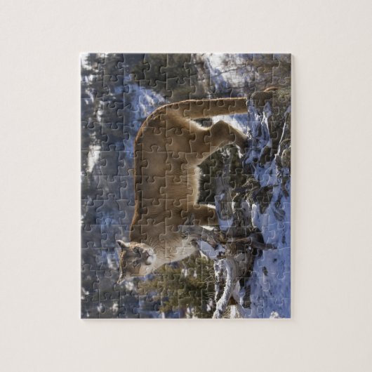 Mountain Lion Legpuzzel (Verticaal)