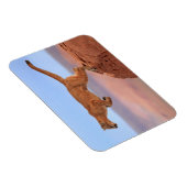 Mountain Lion Magneet (Rechterzijde)