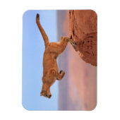 Mountain Lion Magneet (Verticaal)