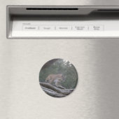 Mountain Lion Magneet (Insitu (Vaatwasser))