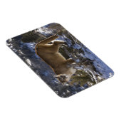 Mountain Lion Magneet (Rechterzijde)