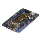 Mountain Lion Magneet (Linkerzijde)