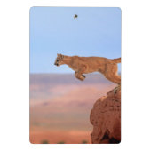 Mountain Lion Mini Klembord (Achterkant)