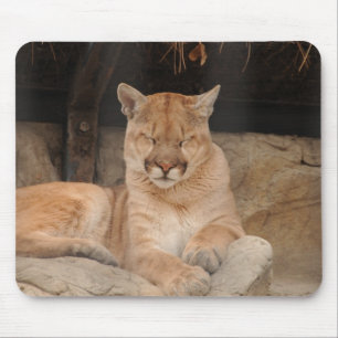 Mountain Lion Muismat