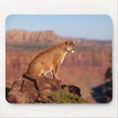 Mountain Lion Muismat (Voorkant)