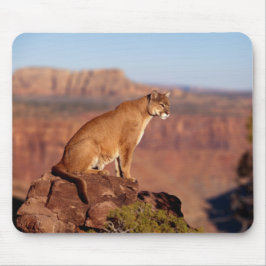Mountain Lion Muismat
