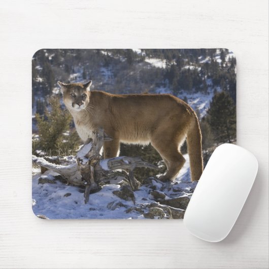 Mountain Lion Muismat (Met muis)