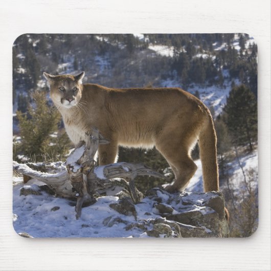 Mountain Lion Muismat (Voorkant)