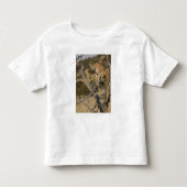 Mountain Lion, ook bekend als puma, cougar; Puma c Kinder Shirts (Voorkant)