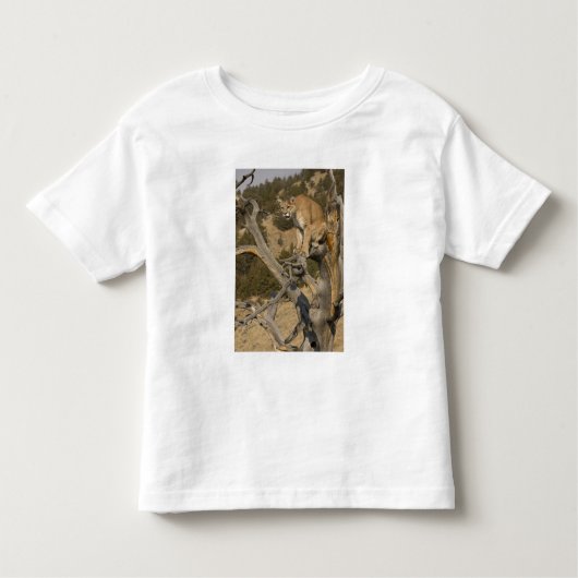 Mountain Lion, ook bekend als puma, cougar; Puma c Kinder Shirts (Voorkant)