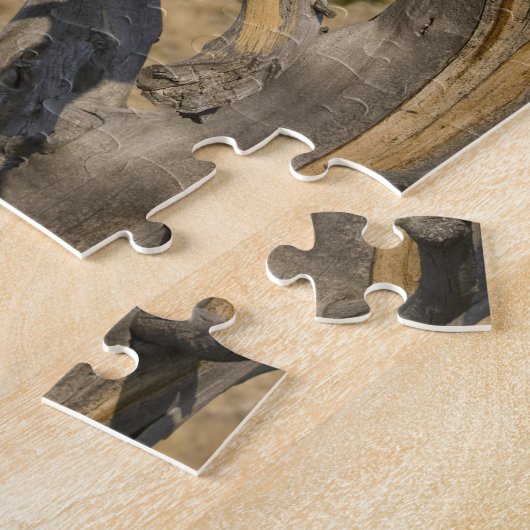 Mountain Lion, ook bekend als puma, cougar; Puma c Legpuzzel (Zijkant)