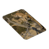 Mountain Lion, ook bekend als puma, cougar; Puma c Magneet (Rechterzijde)