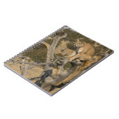 Mountain Lion, ook bekend als puma, cougar; Puma c Notitieboek